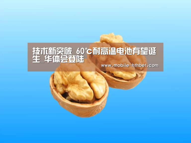 技术新突破 60℃耐高温电池有望诞生_华体会登陆(图1) 华体会入口