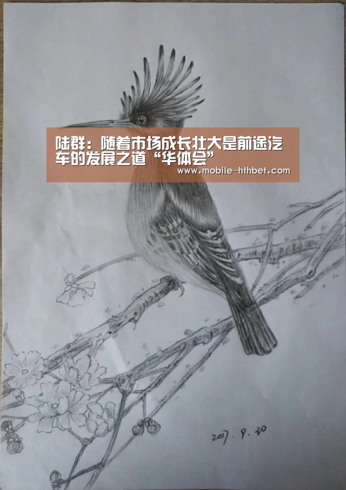 陆群:随着市场成长壮大是前途汽车的发展之道“华体会”(图4) 华体会