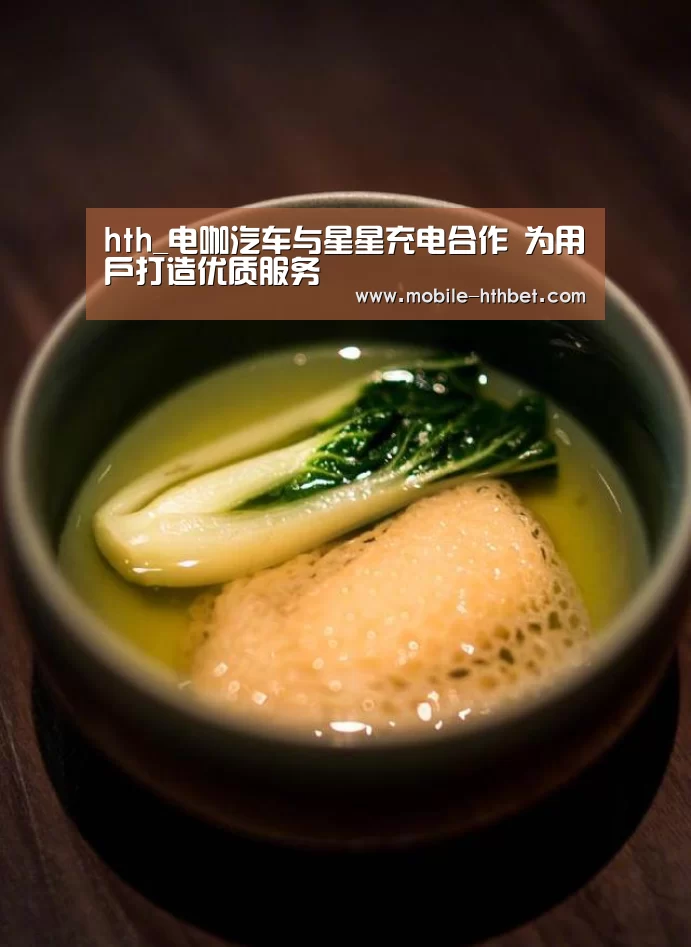 hth_电咖汽车与星星充电合作 为用户打造优质服务(图4) 华体会入口