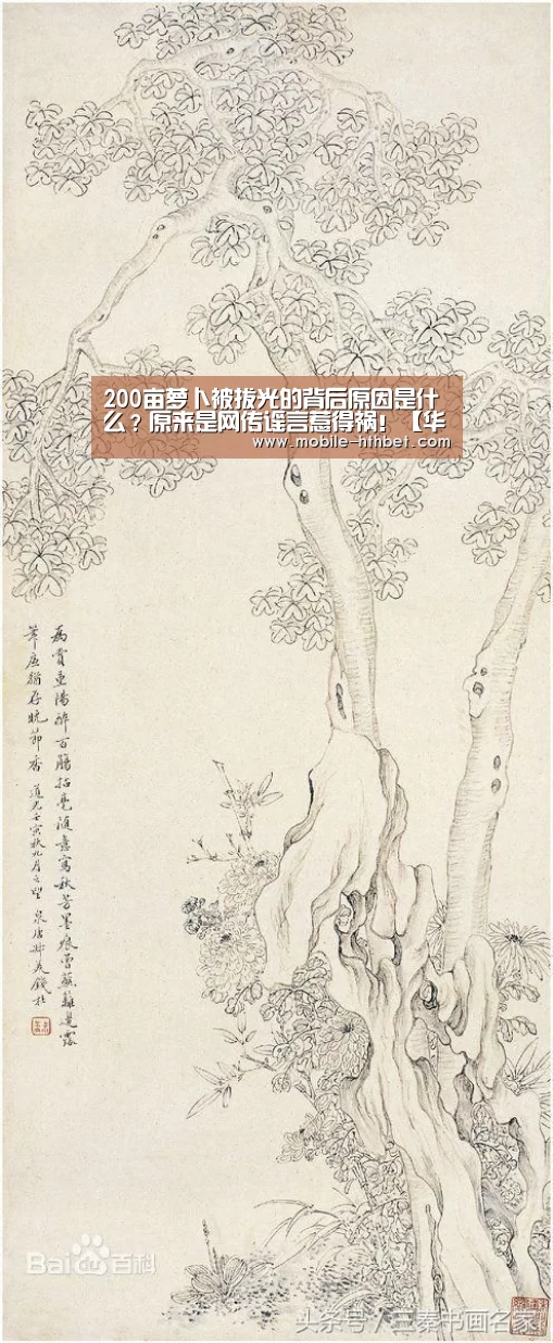 华体会入口