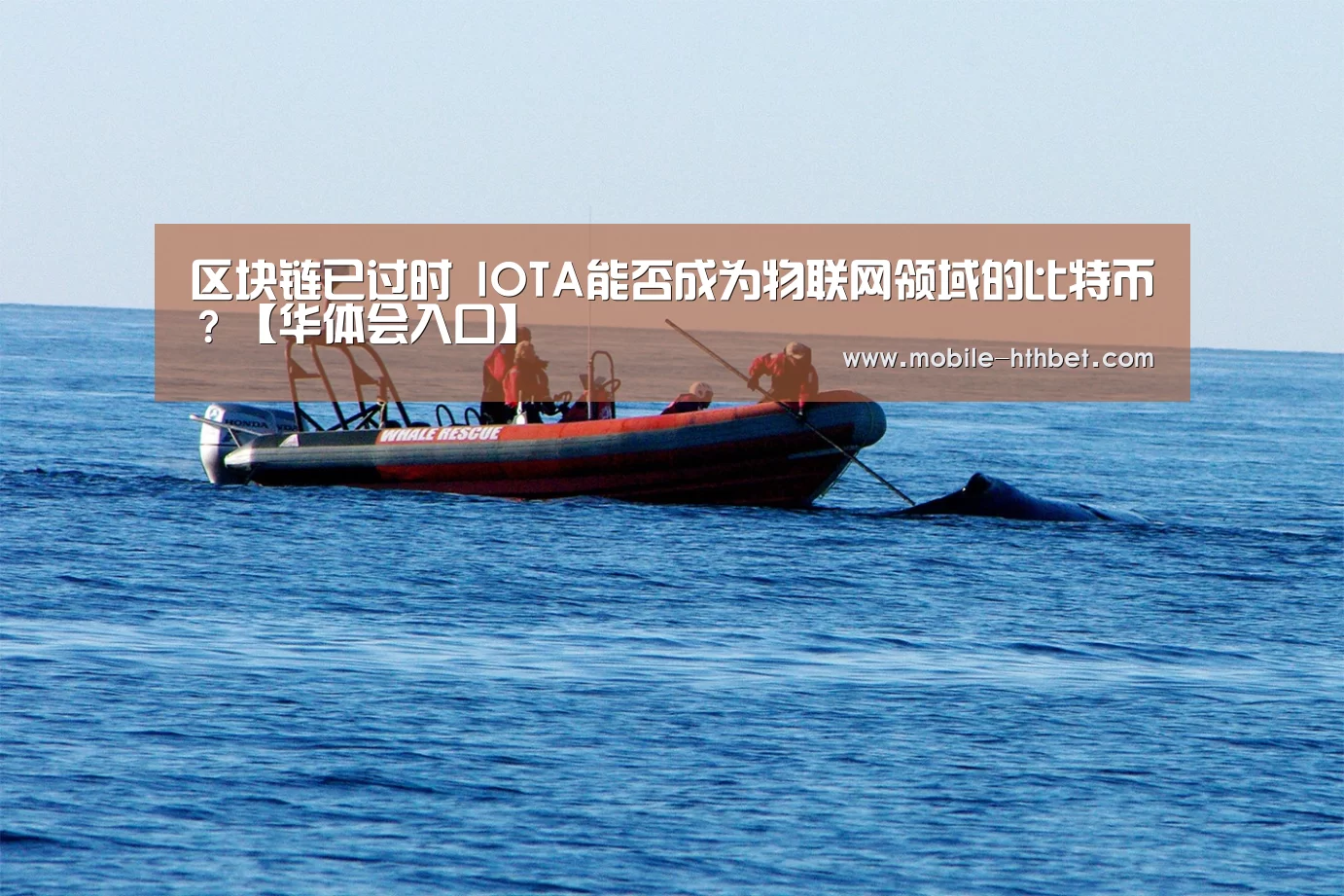 区块链已过时 IOTA能否成为物联网领域的比特币?【华体会入口】(图2) 华体会登陆