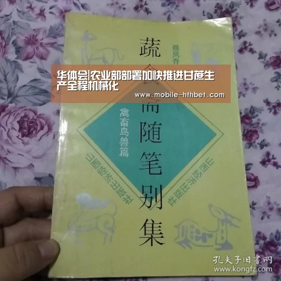 华体会|农业部部署加快推进甘蔗生产全程机械化(图1) 华体会入口