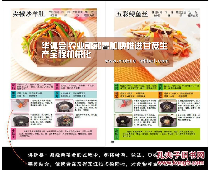 华体会|农业部部署加快推进甘蔗生产全程机械化(图2) 华体会|农业部部署加快推进甘蔗生产全程机械化(图2)